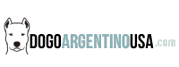 Dogo Argentino USA 